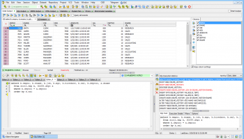 SQLDetective screenshot