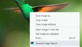 Reverse Image Search for Firefox screenshot