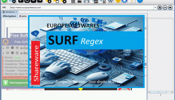 SurfRegex screenshot