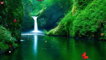 Green Waterfalls screenshot