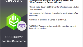 WooCommerce ODBC Driver by Devart screenshot