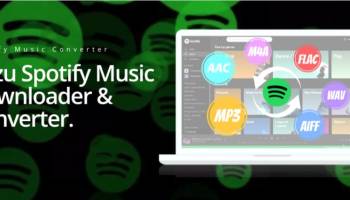 Pazu Spotify Music Converter screenshot