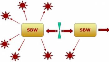 SBW - Systems Biology Workbench screenshot