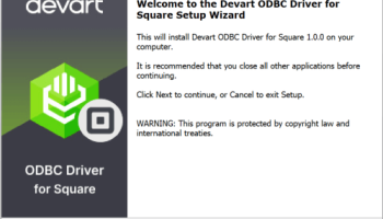 Square ODBC Driver by Devart screenshot