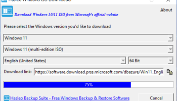 Hasleo Windows ISO Downloader screenshot