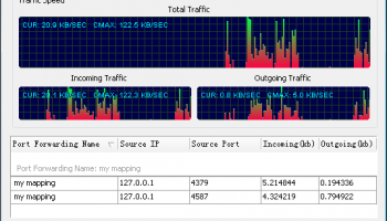 Port Forwarding Wizard Pro Version screenshot