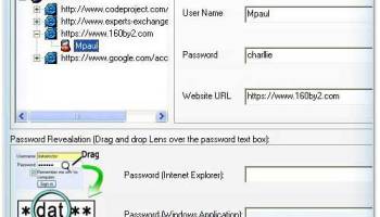 IE Passwords Unmask Software screenshot