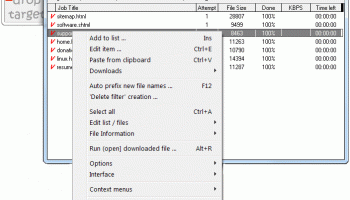 Web Downloader screenshot