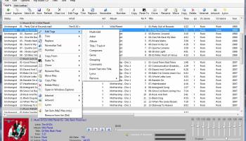 MP3 Tag Express screenshot