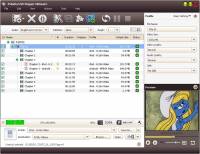 4Media DVD Ripper Ultimate screenshot