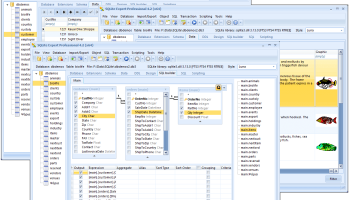 SQLite Expert Profesional screenshot