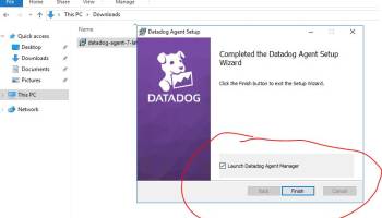 Datadog Agent Manager screenshot