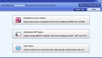 DataNumen Database Recovery screenshot