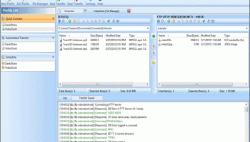 Auto FTP Manager screenshot