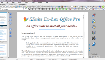 SSuite Ex-Lex Office Pro screenshot