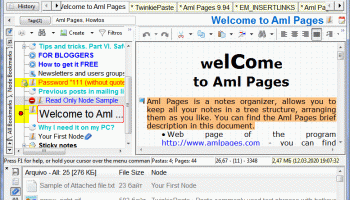 Aml Pages Portuguese Brazilian version screenshot