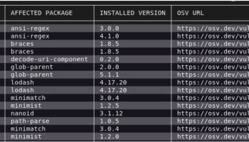 OSV-Scanner screenshot