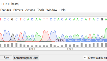 SnapGene Viewer screenshot