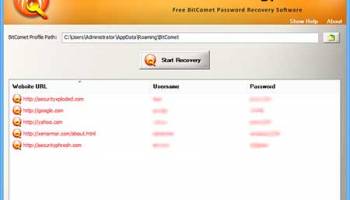 BitComet Password Decryptor screenshot