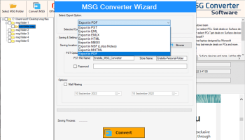 Enstella MSG Converter Software screenshot