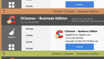 CCleaner Business Edition screenshot