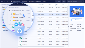 EASEUS Data Recovery Wizard Professional screenshot