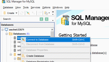 EMS SQL Management Studio for MySQL screenshot