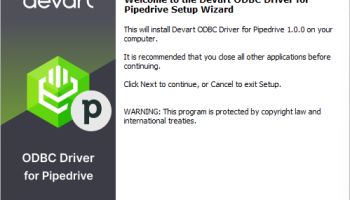 Pipedrive ODBC Driver by Devart screenshot