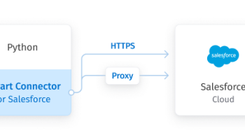 Salesforce Python Connector by Devart screenshot