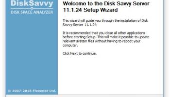 Disk Savvy Server screenshot