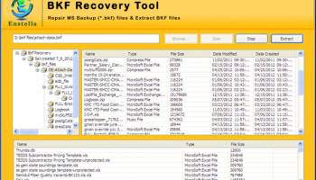 BKF Recovery Software screenshot