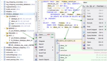 Database .NET Professional screenshot