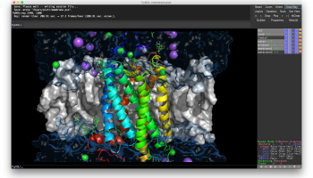 PyMOL screenshot