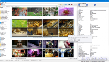 Video File Browser screenshot