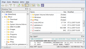 DMDE - DM Disk Editor and Data Recovery screenshot