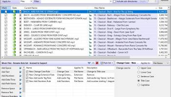 Rons Renamer - Batch File Renamer screenshot