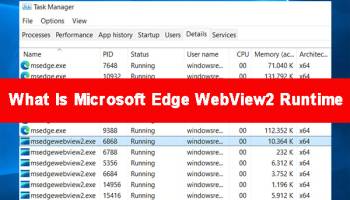 Microsoft Edge WebView2 Runtime screenshot