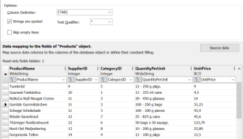 FlySpeed SQL Query screenshot