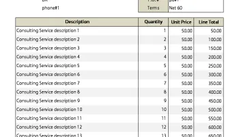 Consulting Invoice Template screenshot